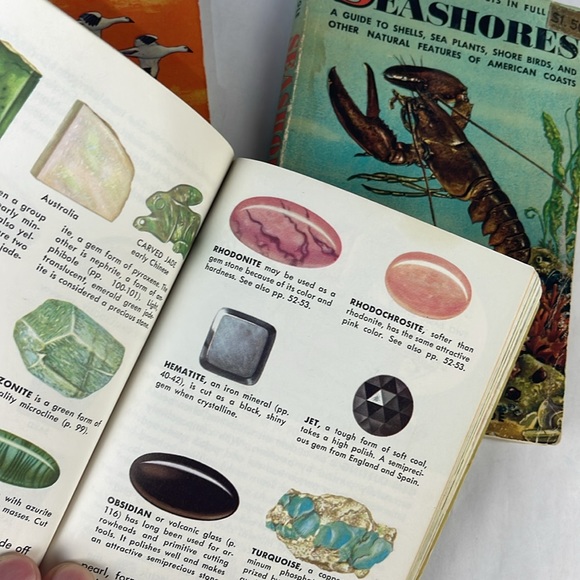 Set of Golden Nature Guide Books - Picture 6 of 9